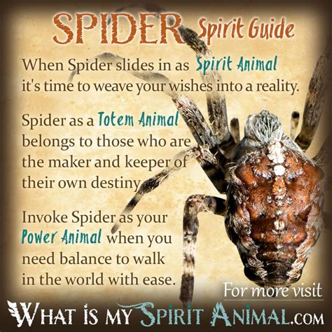 Weaving Spells: The Art of Spellcraft with Spider Webs
